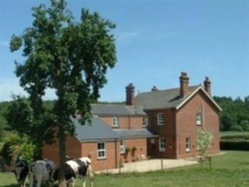 Villa Mill Farm Exeter Exterior foto